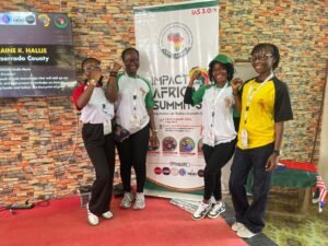 Zero Plastic Liberia at Impact Africa Summit 3.0