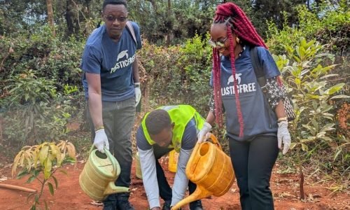 whatsapp image 2026 01 10 at 3.33.32 pm.jpeg